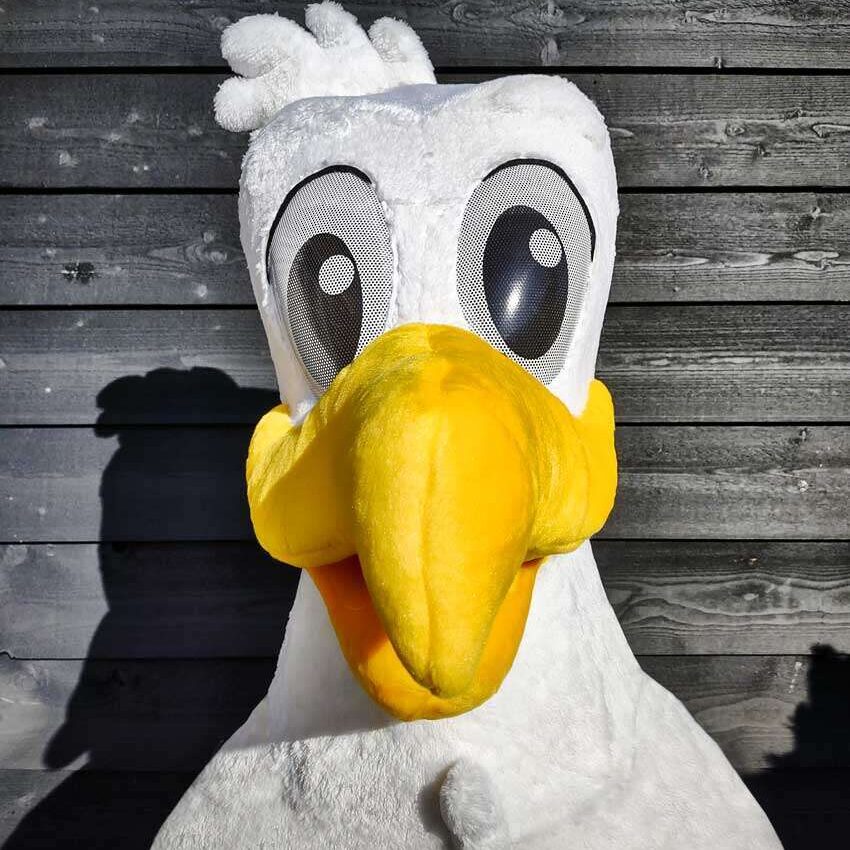 GULLFY-NORTH-SEA-BEACH-RUGBY GULLFY-NORTH-SEA-BEACH-RUGBY